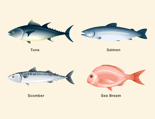 Fish and sushi set : Vector Illustration