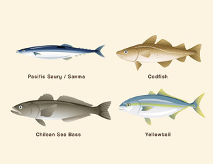 Fish and sushi set : Vector Illustration