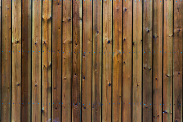 Fototapeta premium Retro wooden door panels, texture