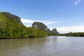 Fototapeta na wymiar mangrove in Phang Nga Bay,Thailand