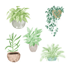 Fototapeta na wymiar vector greeny houseplants clipart set
