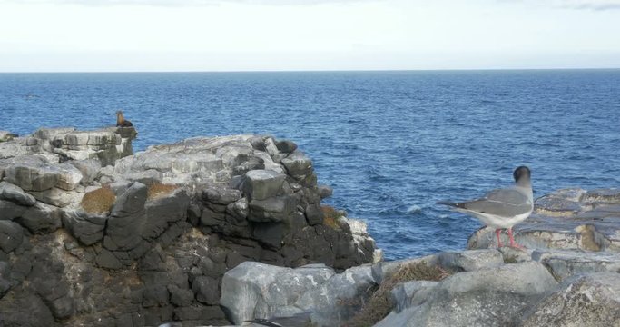 Galapagos Islands 