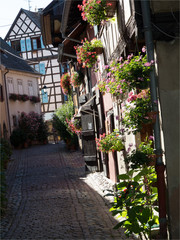 Fototapeta na wymiar maisons traditionnelles du village d'Eguisheim en Alsace en France