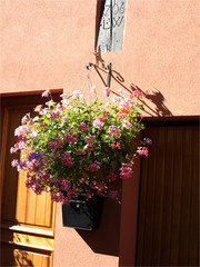 Fototapeta na wymiar village d'Eguisheim en Alsace en France