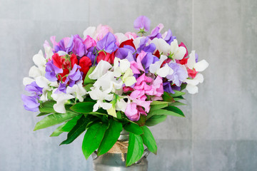The sweet pea (Lathyrus odoratus) bouquet