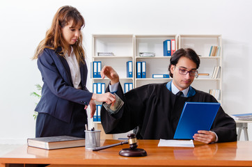 Young woman visiting male lawyer 