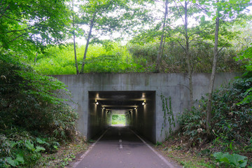 トンネルの小径 - 264895796