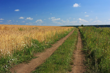 Fototapeta na wymiar Empty dirt country road in the field