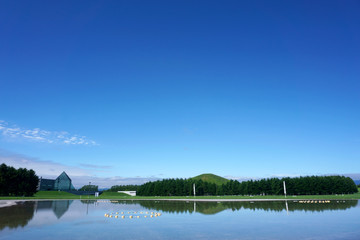 Fototapeta na wymiar 公園にある池に映る風景