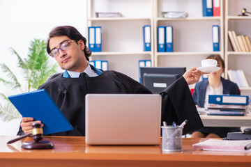 Two lawyers working in the office