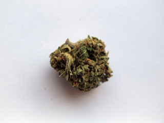 Fototapeta na wymiar nug of California Medical Marijuana