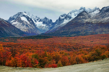 Autumn wood, mountains and glacier at Ushuaia