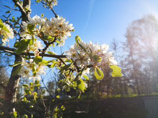 Frühlingsspaziergang