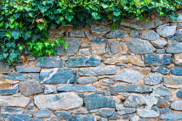 Old stone wall with ivy as background - Image