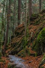 Trail through mountains. Autumn. switzerland