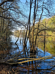 Frühlingsspaziergang