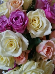 Various rose bouquet signifies enduring passion, humility and innocence, friendship and joy,...