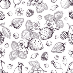 Hand drawn berries pattern. Vintage forest cherry strawberry blackberry cranberry sketch drawing. Vector dessert vintage menu background