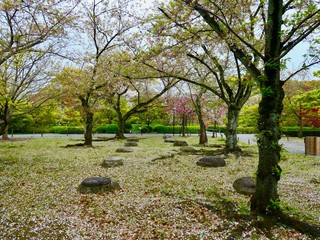 春の日本庭園