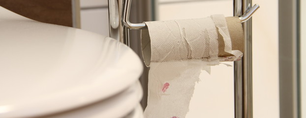 eine leere Toilettenpapierrolle