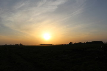 Naklejka na ściany i meble Sunset in the field 9
