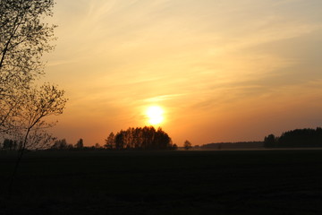 Fototapeta na wymiar Sunset in the field 6