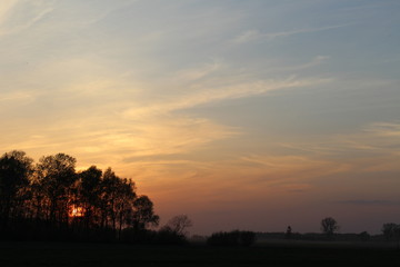 Fototapeta na wymiar Sunset in the field 3
