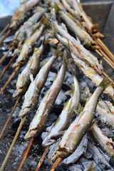 Grilled freshwater trout 