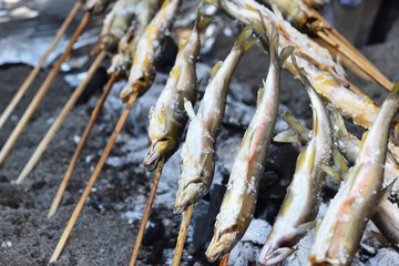Grilled freshwater trout 