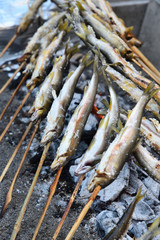 Grilled freshwater trout 