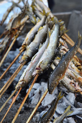 Grilled freshwater trout 