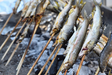 Grilled freshwater trout 