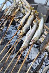 Grilled freshwater trout 