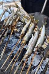 Grilled freshwater trout 