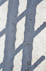 old grunge background and shadow