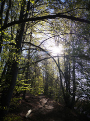 Obraz premium Frühlingsspaziergang