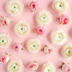 Floral background texture made of pink ranunculus and roses flower buds on pink background.  Flat lay, top view floral background.