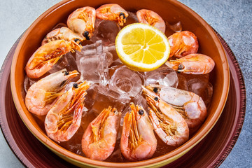 Raw shrimps plate with ice, lemon and lime slices on a creative background.