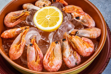 Raw shrimps plate with ice, lemon and lime slices on a creative background.
