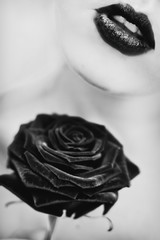 Black rose