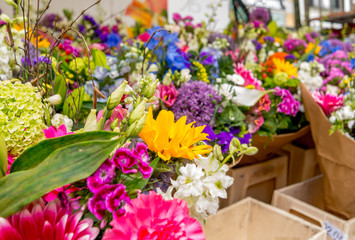 Fototapeta na wymiar Farmer's Market Flowers