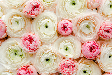 Bouquet, texture of pink ranunculus and rose flower buds close up. Flat lay, top view. Ranunculus flower texture. 