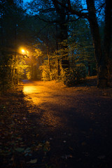 Nachts mit leuchtenden Laterne