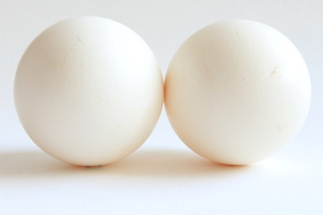 eggs isolated on white background