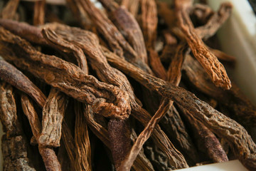 cynomorium songaricum 