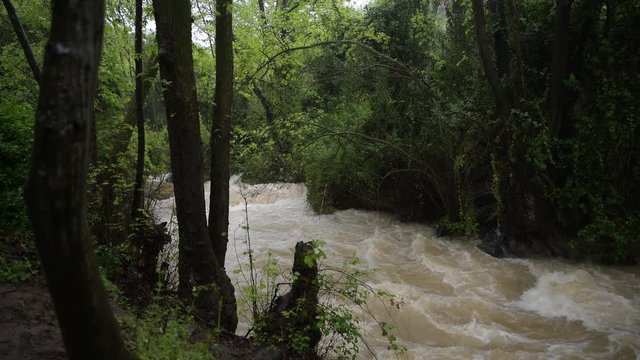 waterfall near banias in the golan hight israel