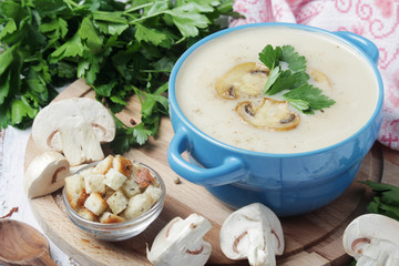 A bowl with mushroom cream soup	