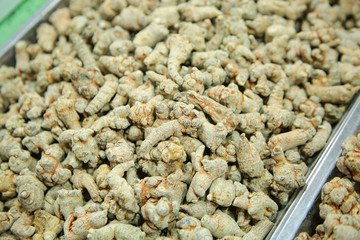 Yunnan notoginseng