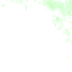 Green flower petals falling down. Captivating roma