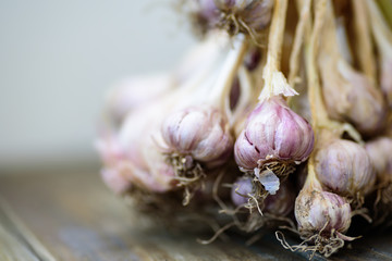 Fresh garlic on wooden, food ingredient, herb and spice